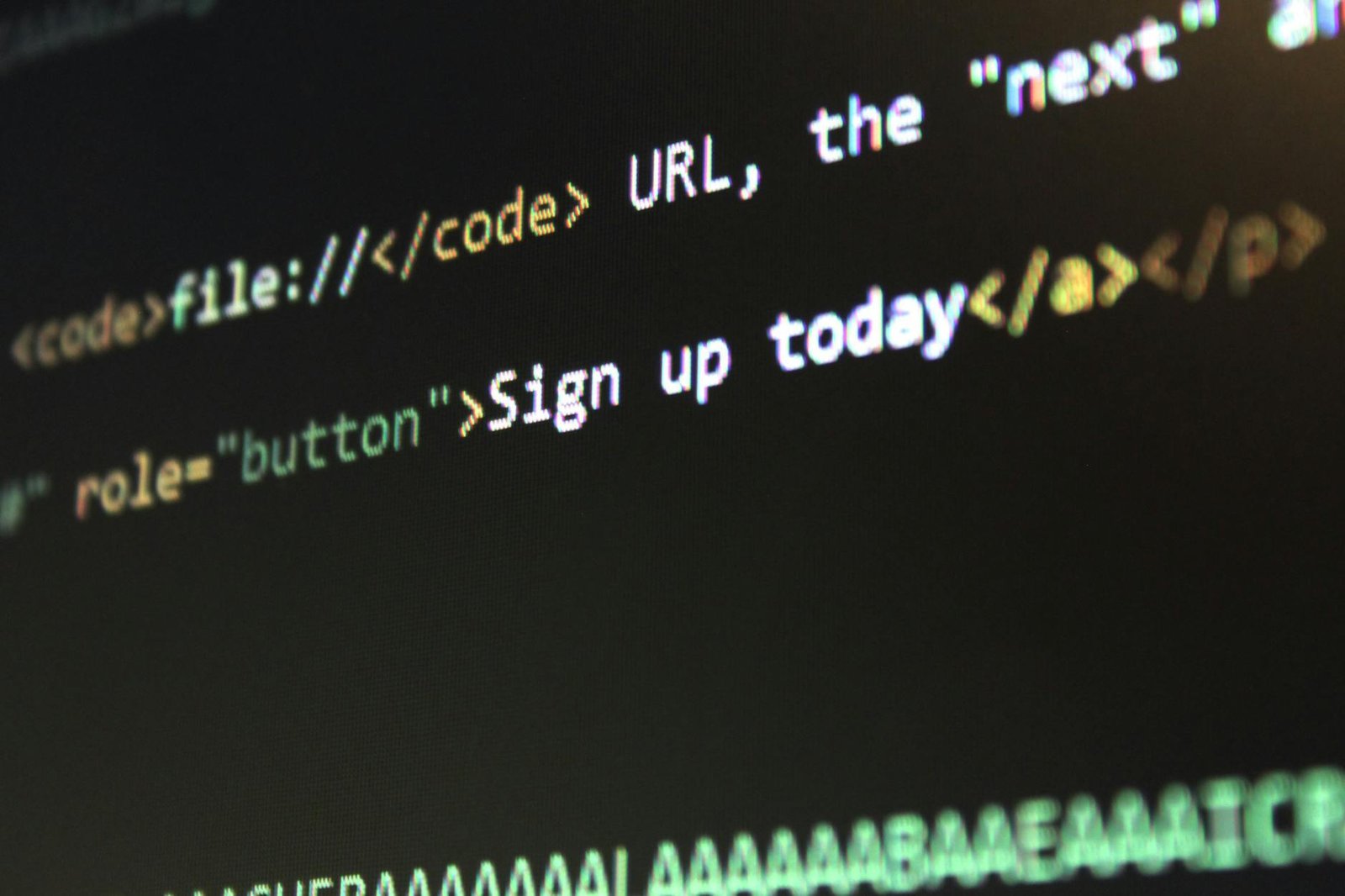 top website designer in noida sector 10
